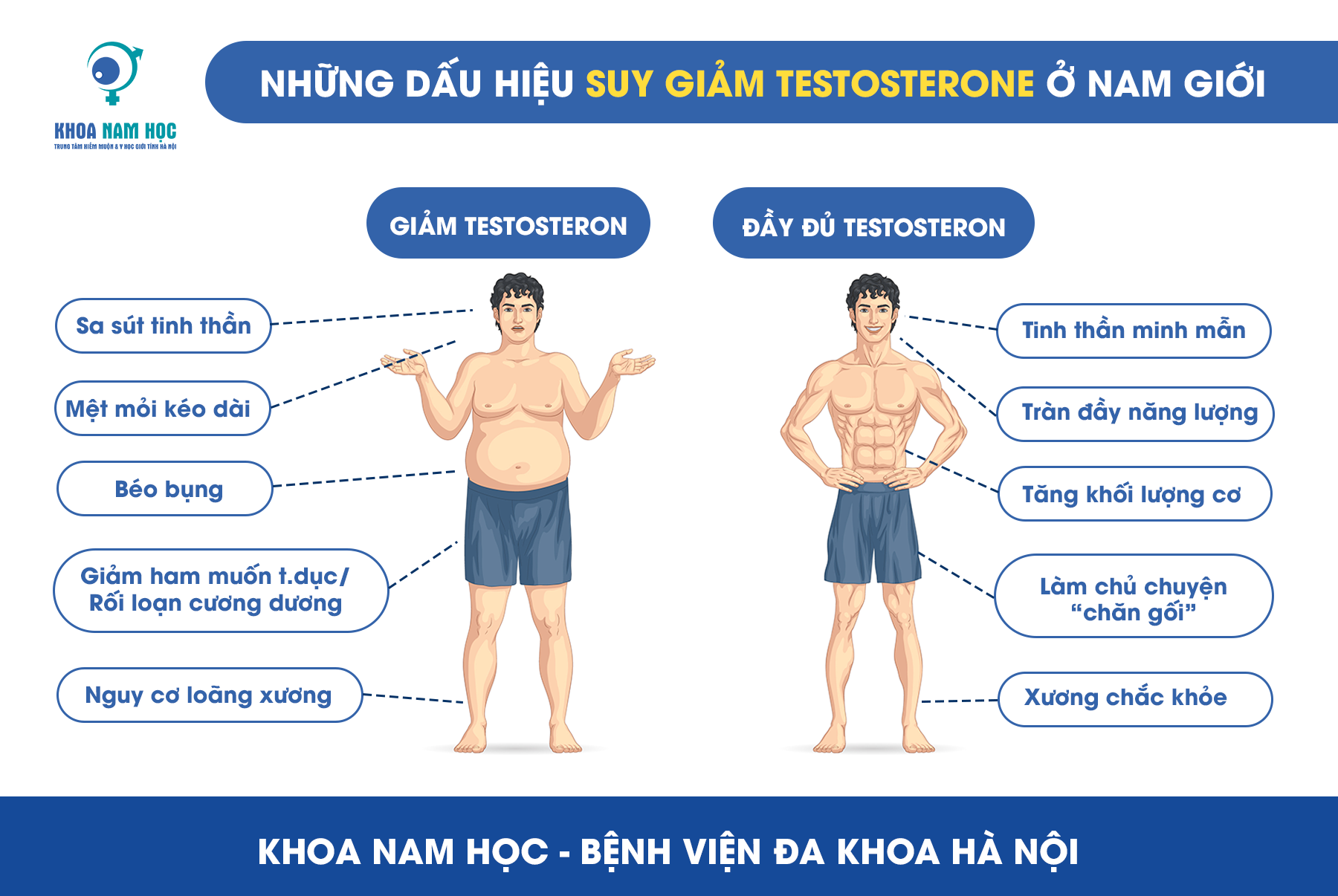 Vai trò của Testosterone với cơ thể nam giới