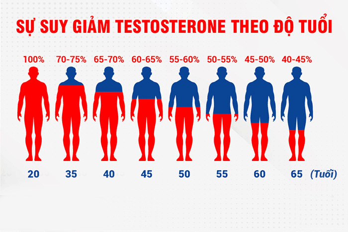Sự suy giảm testosterone là nguyên nhân ảnh hưởng tới sinh lý nam